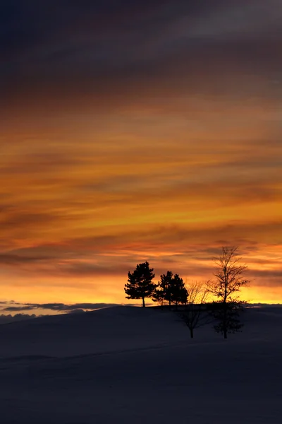 Cielo serale invernale — Foto Stock
