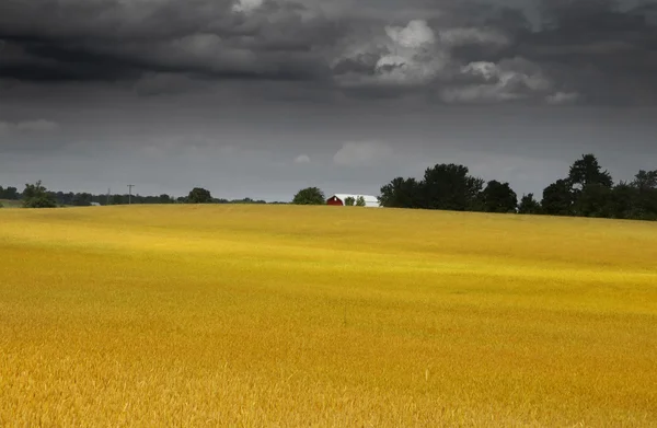 Farm on stormy day — Stock Photo, Image