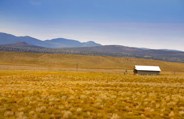 Woestijn landschap in arizona — Stockfoto