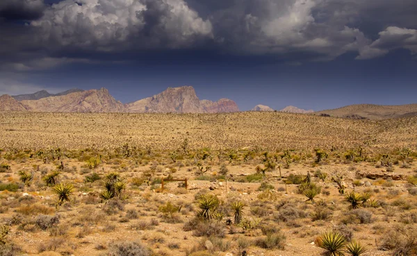 Paesaggio desertico in Arizona — Foto Stock
