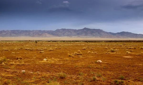 Paisaje del desierto en Arizona —  Fotos de Stock