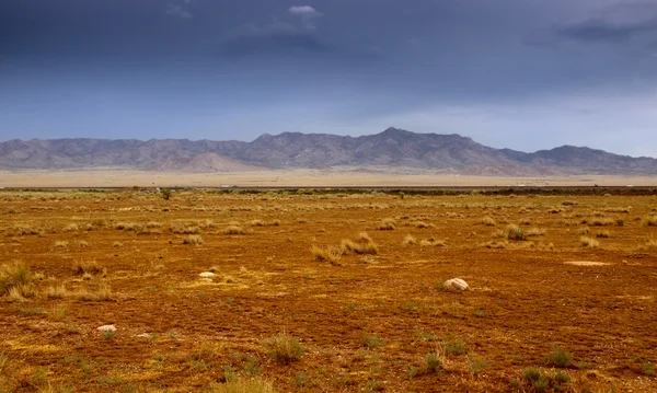 Desert landscape in Arizona — Stock Photo, Image