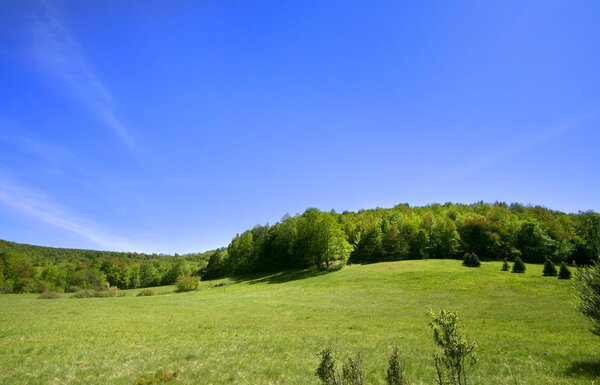 Пейзаж в весеннее время

