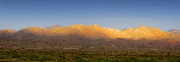 stock image Desert Landscape