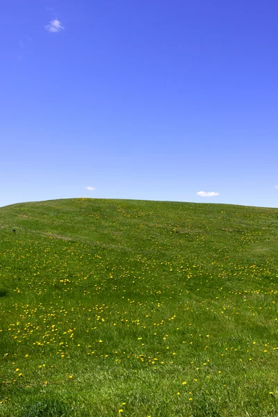 Green Meadow — Stock Photo, Image