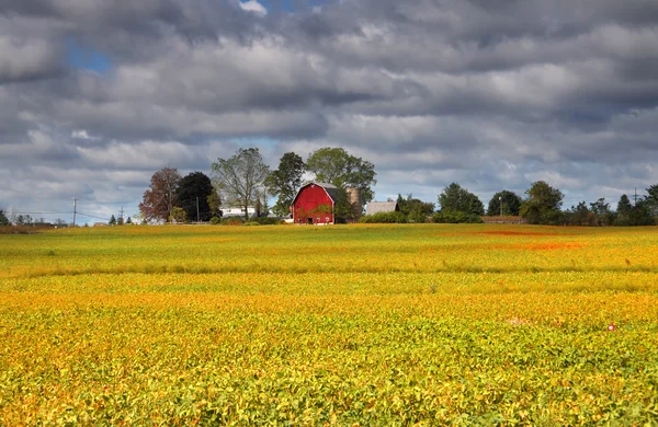 Landschaftlich reizvolle Agrarlandschaft — Stockfoto