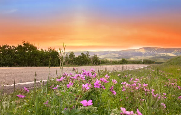 Schöne Abendszene — Stockfoto