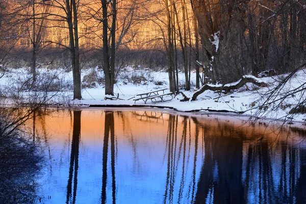 Reflexão de Inverno — Fotografia de Stock