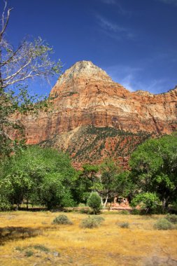 Zion national park