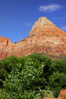 Zion national park