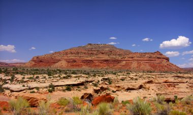 Arizona çöl manzarası