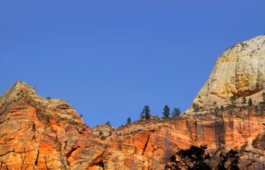 Zion national park