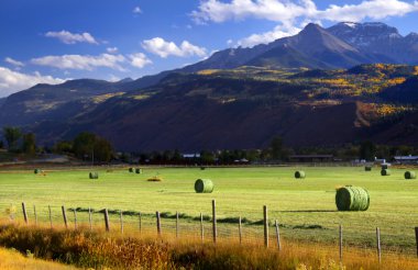 Hay bales clipart