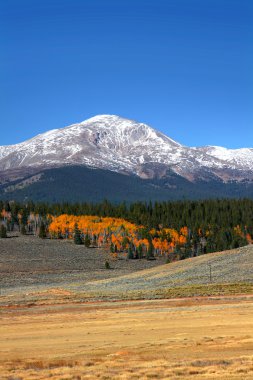 Mount Elbert