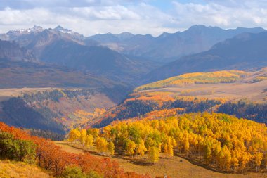 Autumn in Colorado clipart