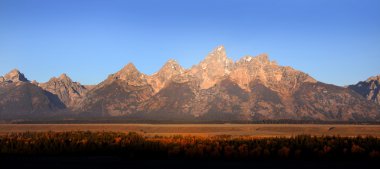 Grand tetons park Güz