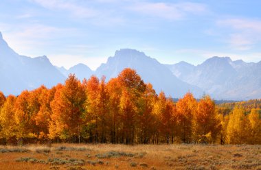 Grand Tetons park in autumn clipart