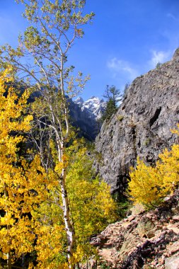 Grand Teton Peak clipart