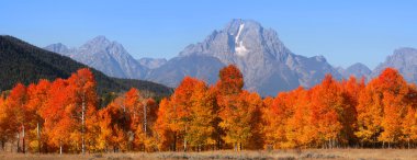 Grand tetons Ulusal dağ silsilesi