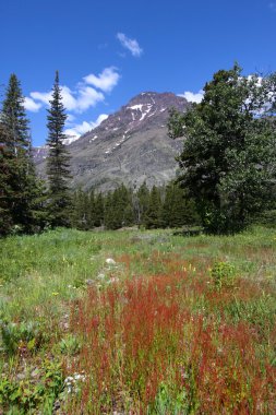 Glacier national park clipart