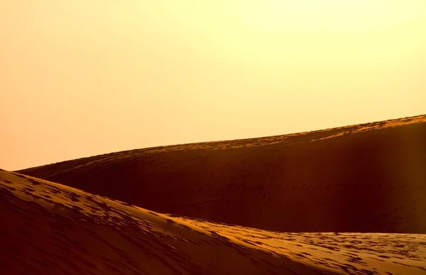 stock image Desert