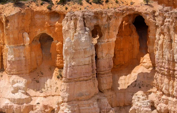 Arches dans le canyon de Bryce — Photo