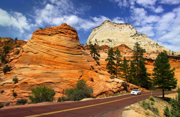 Scenic drive in Zion national park — Stock Photo, Image