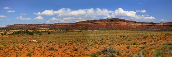 在亚利桑那州的沙漠景观 — 图库照片