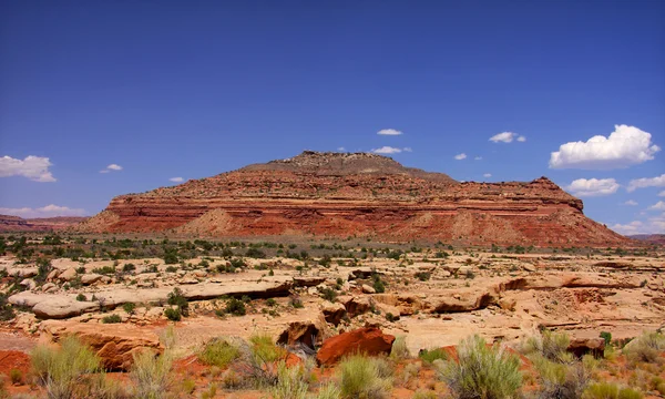 Desert landscape in the Arizona — Stock Photo, Image