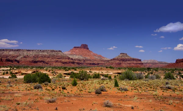Festői sivatagi táj, Utah — Stock Fotó