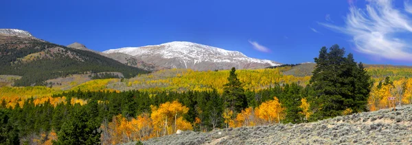 Hösten i colorado — Stockfoto
