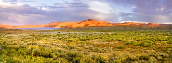 Stock image Desert landscape