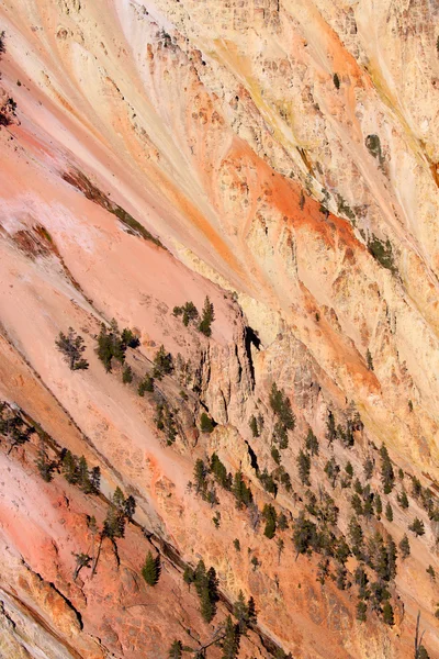 붉은 바위 언덕 사면 — 스톡 사진