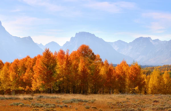 Parco Grand Tetons in autunno — Foto Stock