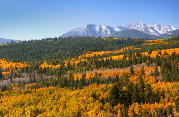 Scenic Colorado landscape — Stock Photo, Image