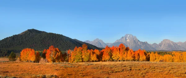 Parco Grand Tetons in autunno — Foto Stock