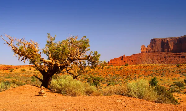 砂漠の風景 — ストック写真