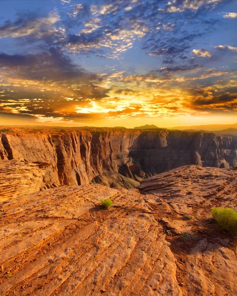 Scenic desert landscape — Stock Photo, Image