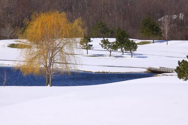 Golf sahasında kar — Stok fotoğraf