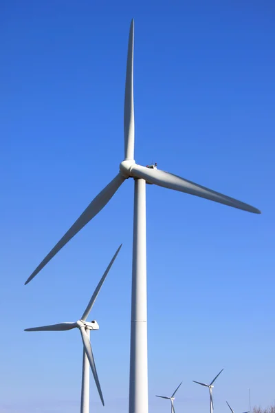 Ветряные мельницы — стоковое фото