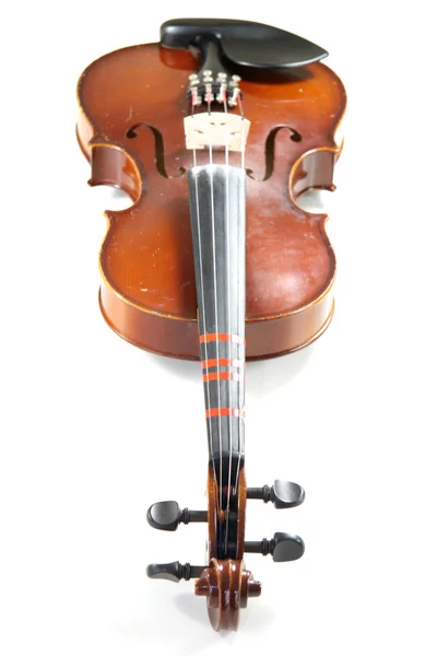 stock image Violin