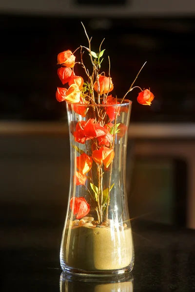 Vase de fleurs — Photo