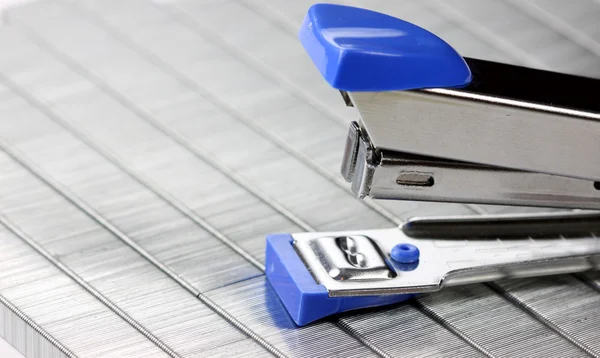 Stapler biru — Stok Foto