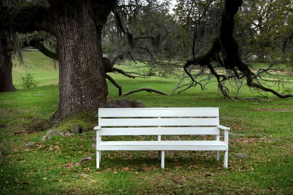 Bílé lavička — Stock fotografie