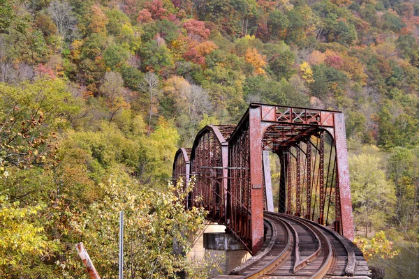 Train bridge — Stock Photo, Image