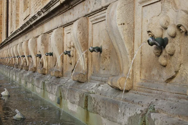アッシジのメディチ家の噴水 — ストック写真