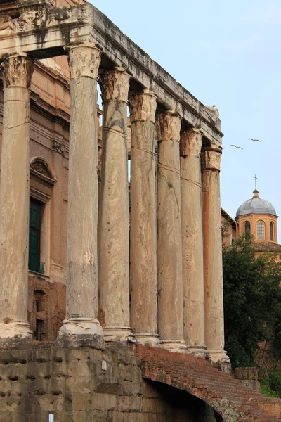Храм Антоніна та Фаустіни — стокове фото