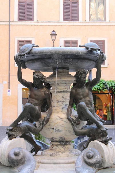龟在罗马的喷泉 — 图库照片