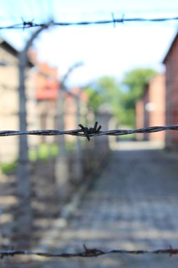 Auschwitz'de dikenli tel