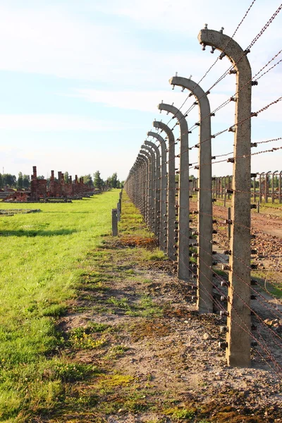 Obrázek z Osvětim Birkenau — Stock fotografie